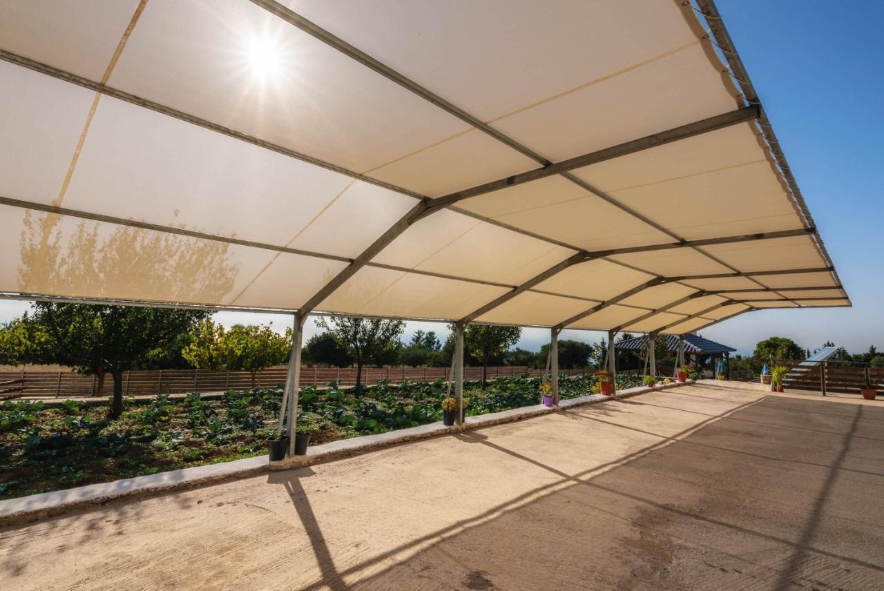 Alonaki Apartments Agios Leon 외부 사진